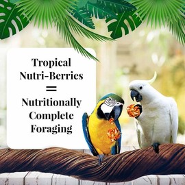 LAFEBER'S Tropical Fruit Nutri-Berries Pet Bird Food, Made with Non-GMO and Human-Grade Ingredients, for Macaws and Cockatoos, 3 lb