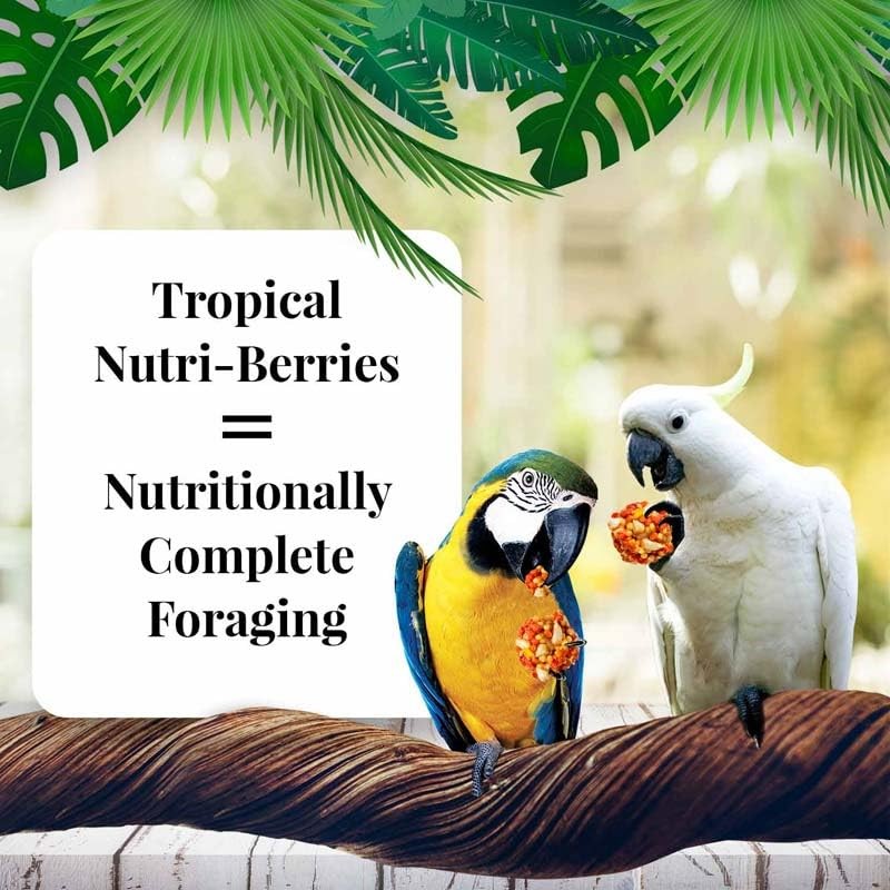 LAFEBER'S Tropical Fruit Nutri-Berries Pet Bird Food, Made with Non-GMO