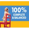 Pedigree Complete Nutrition Puppy Dry Dog Food