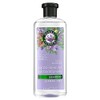 Herbal Essences Jojoba Oil Lavender Curls Shampoo