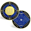 CHURYUML 25 Year NA Coins Recovery Chip Narcotics Anonymous Gifts