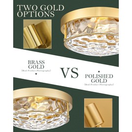 Cargifak Polished Gold 12" Ceiling Fixture – Hammered Glass, Farmhouse-Inspired Flush Mount for Bedroom, Living Room, or Dining Area - CKCL4822-2W-HGPG