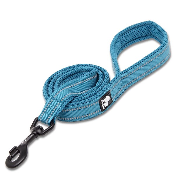 Truelove Dog Lead TLL2111 Puppy Walk Lead, Pet Chain Rope,