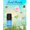 ASAKUKI Top3 Blends Essential Oils Cozy Set Theraputic Grade Aromatherapy