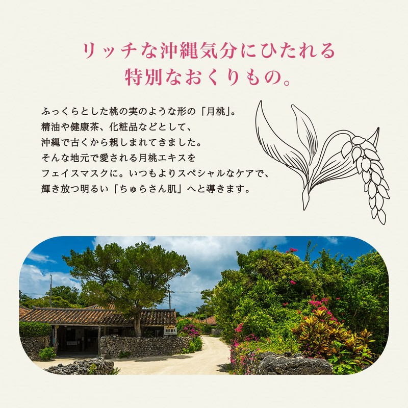 Okinawa of puremiamurururunhaibisukasu Scented Set of 1 X 5 Bags