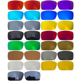Wetnenss Replacement Lenses for Gascan /1.5mm polarized/easy to install (Clear PHOTOCHROMIC)