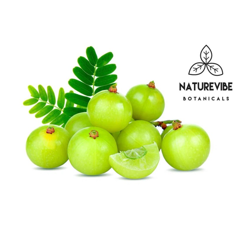 Naturevibe Botanicals Organic Amla Berry Powder, 8 ounce by Naturevibe