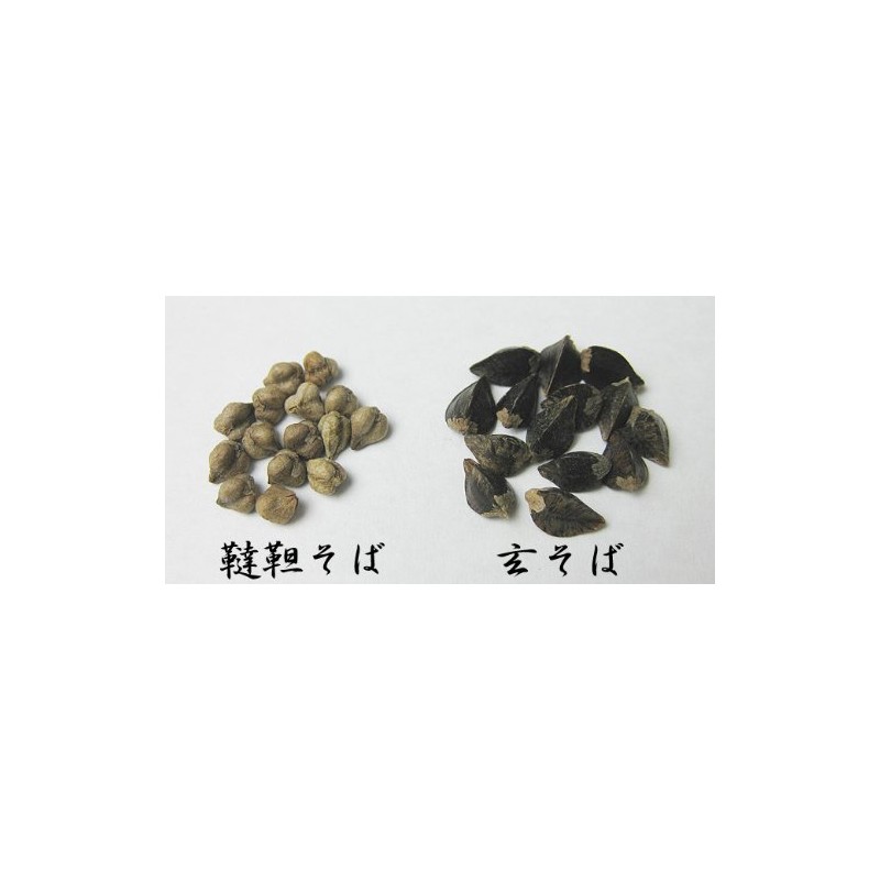 Buckwheat Seeds (15.9 oz (450 g), Made in Hokkaido, Cultivable,