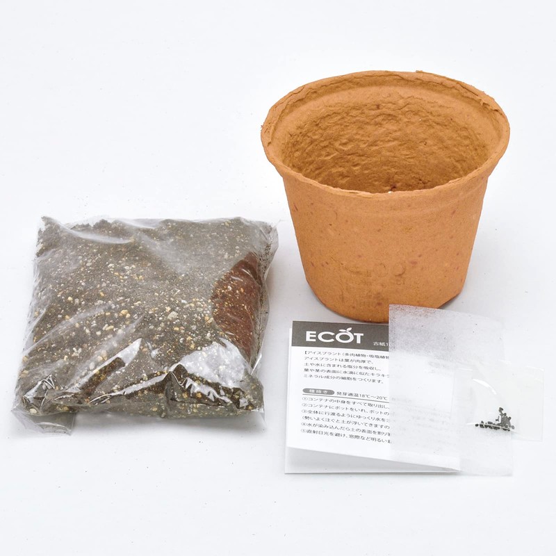 Ecot Planting Kit and Pot