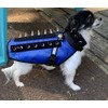 CoyoteVest Dog Harness Protection Vest, Reflective Dog Accessories with Spikes