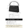 Plex Women's Formal Bag, Lightweight, Black, For Ceremonies, Entrance Ceremonies,