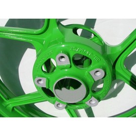 Biker Green Powder Coating Paint 1 LB