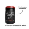 Adictos Al Gym Creatina Monohidrato De Creatina 500 Gr 100