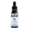 Feel Bach! Natural Homeopathic Remedy - Pine Dropper Flower Essence