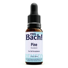 Feel Bach! Natural Homeopathic Remedy - Pine Dropper Flower Essence for Self Acceptance - Embrace Self-Forgiveness & find Inner Peace, Vegan, Gluten & Sugar-Free, Non-Habit Forming, 30ml (1 fl oz)