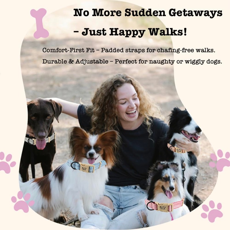 Barky Club Dog & Cat Harness Set – Adjustable Linen