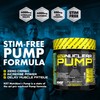 NXT Nutrition TNT Pumpe (ICY Blue Razz Geschmack), 50 Portionen