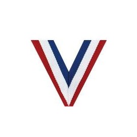 1st Place Medals - 2" Gold Place Medal Awards 20 Pack