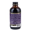 Immunia SYNERGY - Elderberry Supplement for Immune System Support -