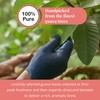 5.2oz Dried Guava Leaves, Hojas De Guayaba Secas, Natural Guava