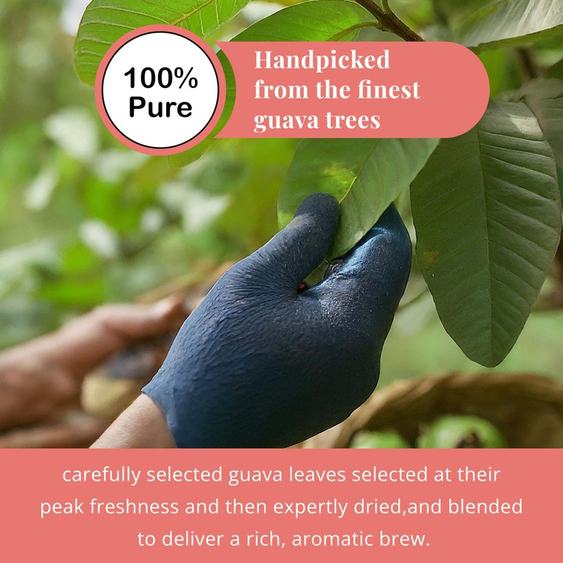 5.2oz Dried Guava Leaves, Hojas De Guayaba Secas, Natural Guava