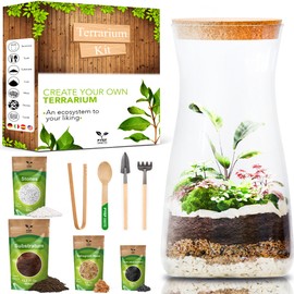 PYEF CRAFTS DIY Terrarium Kit for Adults – Build Your Own Self‑Sustaining Closed Ecosystem – 34 fl oz (1‑Liter) Glass Terrarium – Succulents, Air Plants, Fittonia, Fern – Plants Not Included