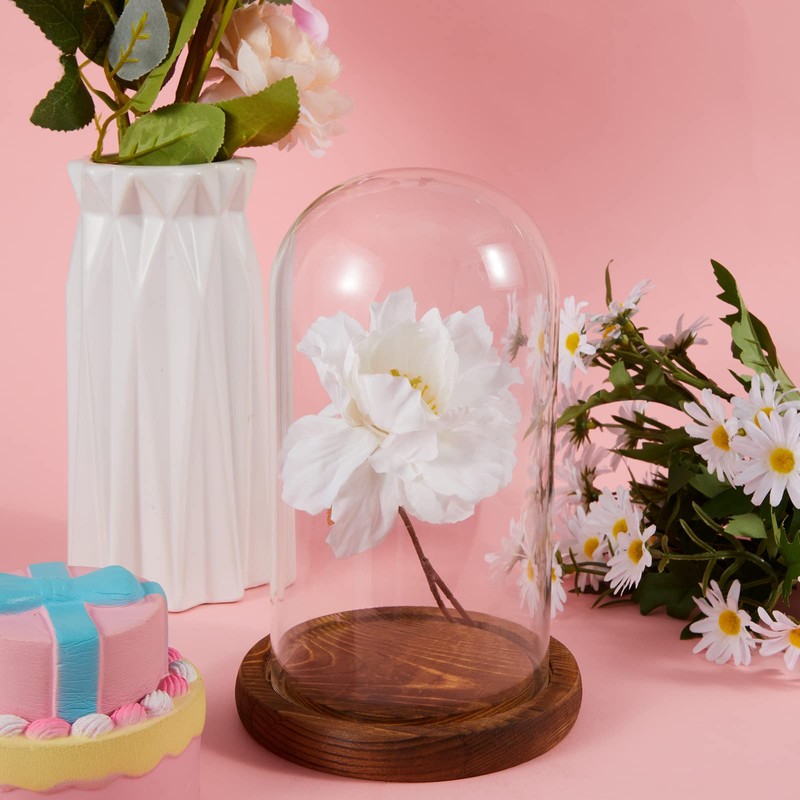 Suclain 4 Pcs Clear Glass Dome Cloche with Wood Base