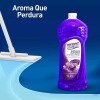 Instant Clean Kit De Lavatrastes Limón Y Limpiador Lavanda Instant