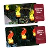 OSALADI Bird Decoration 2 Pieces Parrot Garden Stake Solar Light