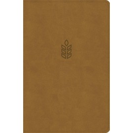 CSB Personal Size Giant Print Bible, Camel SuedeSoft LeatherTouch, Red Letter, Presentation Page, Footnotes, Full-Color Maps, Easy-to-Read Bible Serif Type