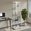 WRTEYEUI Glass Display Cabinet, 4-Tier Curio Storage Cabinet Glass Display