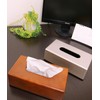 Ikeda 99063 Stylish Tissue Box, Silver