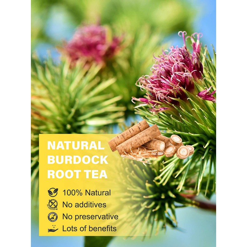 TeeLux Burdock Root Tea, Cut & Sifted, Pure Natural Dried