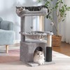 Pawfessor Cat Tree 32 Inches Small Cat Tower with Large