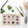 CIYODO 12pcs Educational Rock Collection Kit Mineral Rock Specimens for