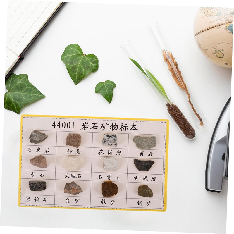 CIYODO 12pcs Educational Rock Collection Kit Mineral Rock Specimens for