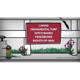 Compare-N-Save 2-4-D Amine Broadleaf Weed Killer, 32-Ounce