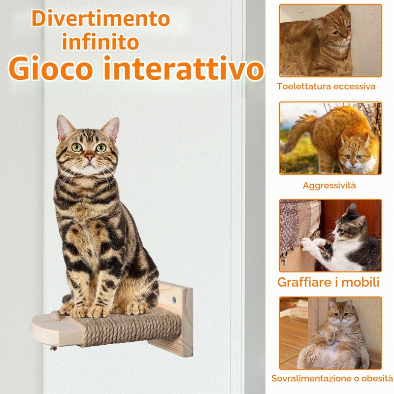4 in 1 Parete da Arrampicata per Gatti, Scala a