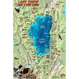 Lake Tahoe Map & Fish Guide Franko Maps Laminated Fish Card