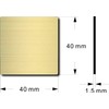 Push Push PULL Door Plate Hairline Gold Metal Tone Acrylic