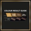 L'Oréal Paris Preference Brasilia 3 Dark-Brown