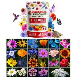 HOME GROWN 90,000+ Wildflower Seeds 3oz 𝗡𝗢𝗡-𝗚𝗠𝗢, 𝗨𝗦𝗔-𝗦𝗢𝗨𝗥𝗖𝗘𝗗 Heirloom Perennial Flower Seeds Mix for Attracting Bees Birds & Butterflies, High Germination, Ideal for Pollinator Gardens