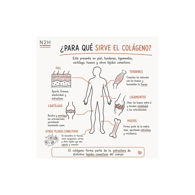 Colágeno Hidrolizado Vitamina C, 500g, Sin Sabor, N2h