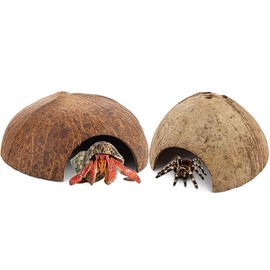 DQITJ 2 Pack Spider Coconut Shell Shelter, Hermit Crab Hideout, Lizard Hiding Cave, Turtle Rest Hut, Fish Tank Aquarium Decoration