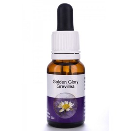 Living Essences Golden Glory 15ml