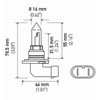 HELLA 9005 Standard Halogen Bulb, 12 V, 65W, Multi