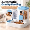 Automatic Cat Feeder and Water Dispenser for Daily Feeding –