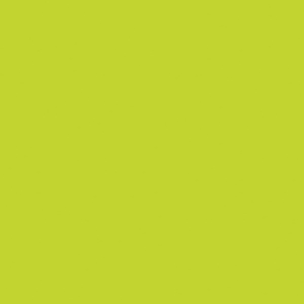 Jillson Roberts Bulk 1/4 Ream Solid Color Gift Wrap Available in 20 Colors, 30" x 208', Lime Green Matte
