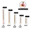 Hilitchi 250-Pcs #7 Phillips Bugle Head Coarse Thread Drywall Screw