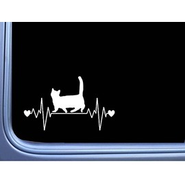 EZ-STIK Munchkin Cat Lifeline M354 8 inch Sticker Decal Kitten litterbox Catnip